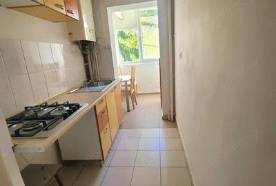 Vand 1 cam Tudor - 6