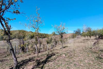 Teren extravilan cu priveli?te superba , livada ?i poten? - 13