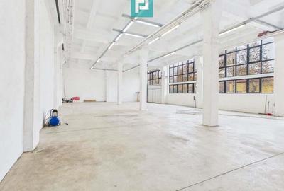 Hala industriala de 295 mp in Arad - 4