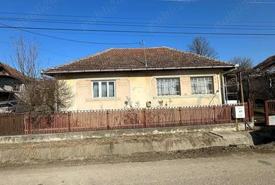 Casă în Biușa - 3