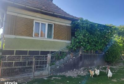 Casă cu 3 camere cu Teren 1760 Mp în Lopadea Nouă - 4
