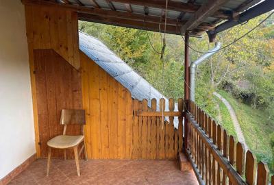 Casă cu 3 camere în Bulz - 4