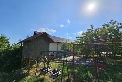 Vila superba de vanzare in Vintila Voda, Buzau D+P+1 si anexe - 40