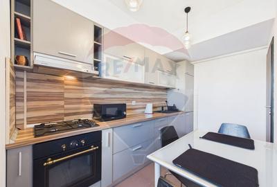 Apartament cu 2 camere semidecomandat, mobilat în Parcul Carol - 15