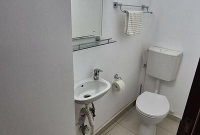 3 camere, pet friendly, 2 balcoane, centrala, Titan - Fizicienilor - 16