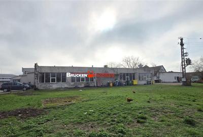 Showroom cu hala si spatiu locativ Marghita, Bihor - 7