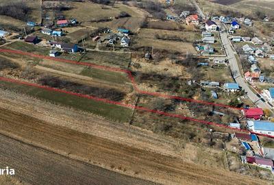 Casă cu 4 camere cu Teren 8500 Mp în Vulturești - 1