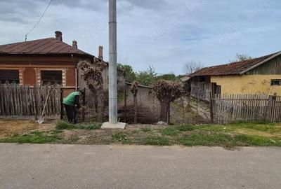 Teren în Miloșești - 3