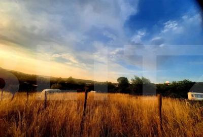 Teren de 1129 mp, în Borhanci - 8