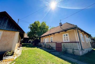 FILM! Doua case+anexe,rezidential/ comercial/de vacanta,Zagon,Covasna - 1