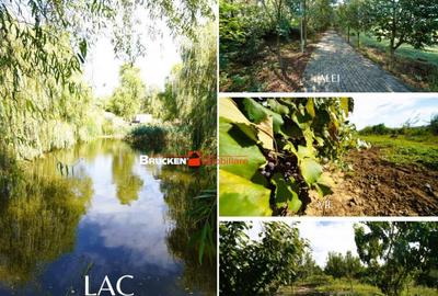 Resort termal cu potential exceptional - 2