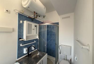 Apartament cu 1 camere semidecomandat, mobilat în P-ța Rosetti - 6