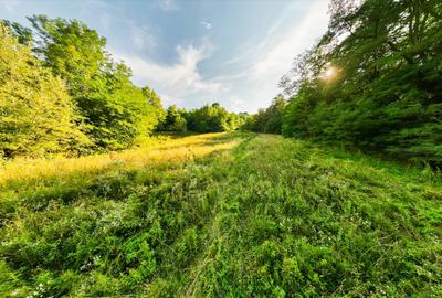 Teren Construcții intravilan de 11700 mp, în Valea Lungă-Gorgota - 4