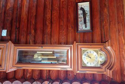 Casă cu 4 camere cu Teren 6240 Mp în Valea Mare - 3