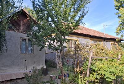 Casa batraneasca cu teren in Nehoiu, Buzau Casa batraneasca cu teren in Nehoiu, Buzau - 5