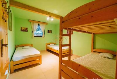 Casă cu 12 camere cu Teren 19841 Mp în Vale - 13