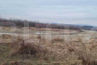 Teren de 141356 mp, în Lipănești - 2