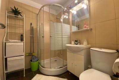 Garsonieră decomandată, mobilată în P-ța Victoriei - 10