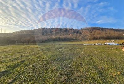 Teren extravilan de 12242 mp, în Ultracentral - 2