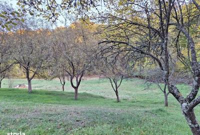 Spațiu comercial, în Central