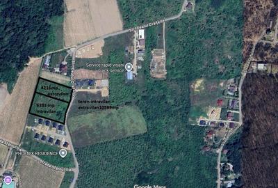 Teren Construcții intravilan de 6383 mp, în Vișan - 9