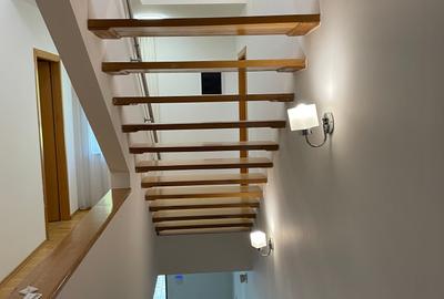 Iancu Nicolae vila 5 dormitoare gradina matura - 15