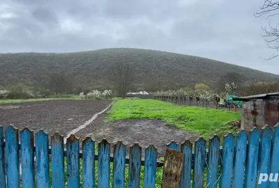 Vand Casa la Munte in Slava Rusa, 2000 m2 - 2