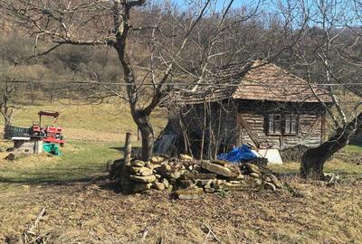 Casă cu 2 camere în Măgoaja - 3