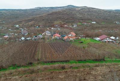 Casă individuală cu 2 camere cu Teren 2093 Mp în Costuleni - 12