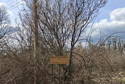 Teren de 1472 mp, în Lintești - 5