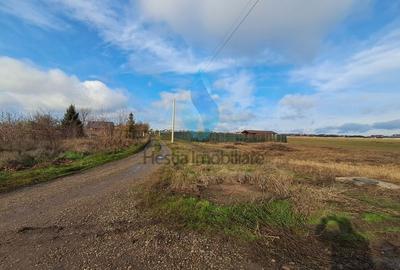 1740mp teren intravilan, Aroneanu-Iasi. - 3