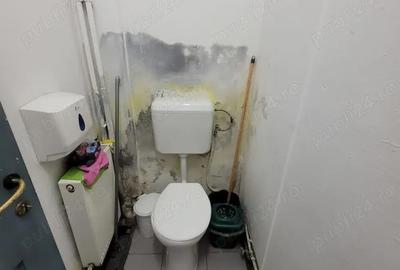 Spațiu comercial, de 170 mp, în Boul Roșu - 2