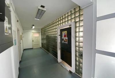 Spațiu comercial, de 3,660 mp, în Armeneasca