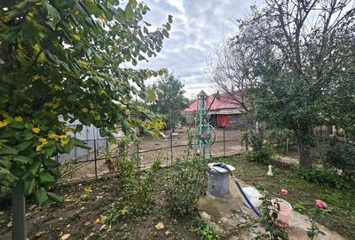 Teren de vanzare 1000mp in Stefanestii de Jos, la sosea si cu utilitati - 12