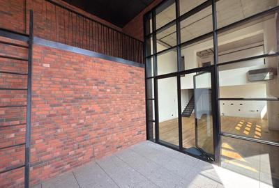 LUXURY LOFT 4 rooms | terrace | 245 MP Floreasca - 1