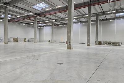 Spatiu Industrial - 7500 mp - Logistica - Productie - Depozitare - Distributie - 3