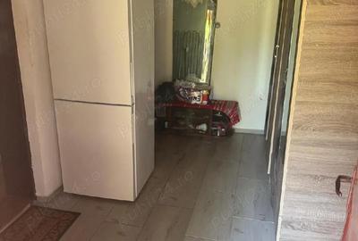 Casă cu 2 camere în Slăvești - 4