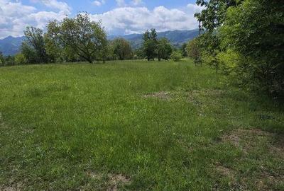 Teren intravilan - 2 minute de centru Prundu Bargaului - ... - 8