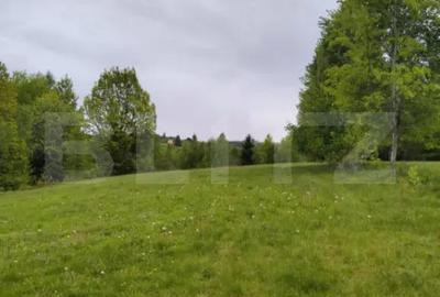Teren de 7000 mp, în Gilău