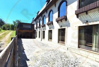 Oportunitate-Cladire comerciala HoReCa in Domnesti-Arges - 6