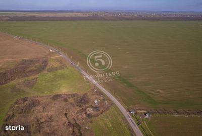 Spațiu comercial, în Nuci - 6