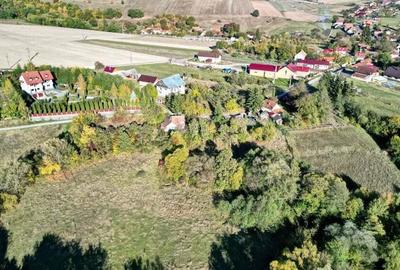 Teren Intravilan - 6