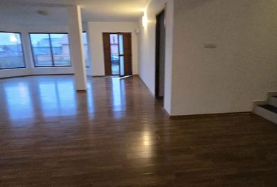 Casă cu 5 camere cu Teren 2220 Mp în Perșinari - 4