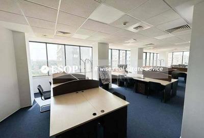 0% comision! Inchiriere birouri Gara de Nord, 340 - 1020mp, ID 15054 - 13