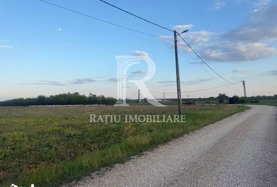 Teren de 2000 mp, în Tămășeu - 7