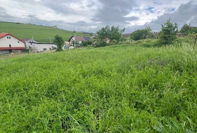 Oportunitate unica – Teren intravilan de vanzare – 500 mp, Loc. Sura Mare-Sibiu - 4