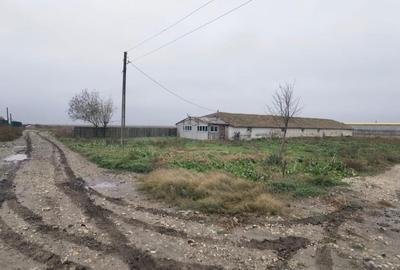 Topraisar langa Biosera Sofra teren 4649 mp cu hala 347 mp - 3