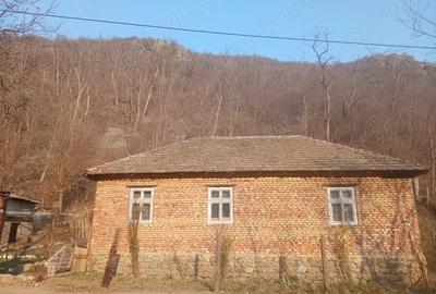 Casă cu 2 camere în Orșova