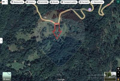 Teren agricol extravilan de 24581 mp, în Lepșa - 2