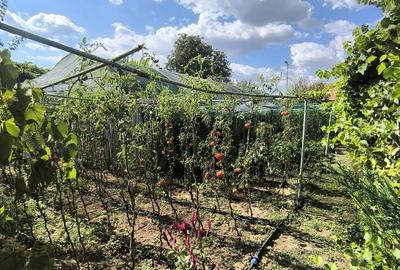 Casă cu 3 camere în Ciorani - 4